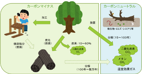 カーボンマイナス、カーボンニュートラル